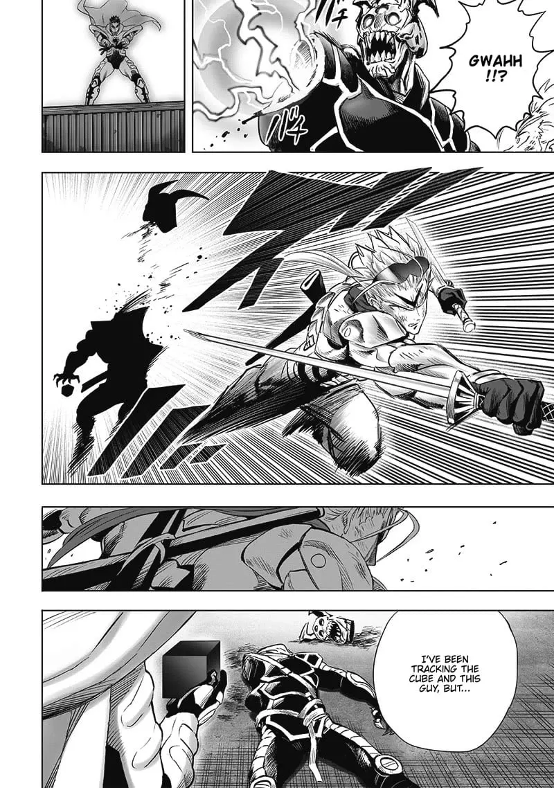 One Punch Man - Chapter 210 image 05